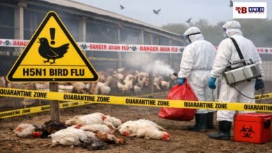 20260326 170439 Console Crptech