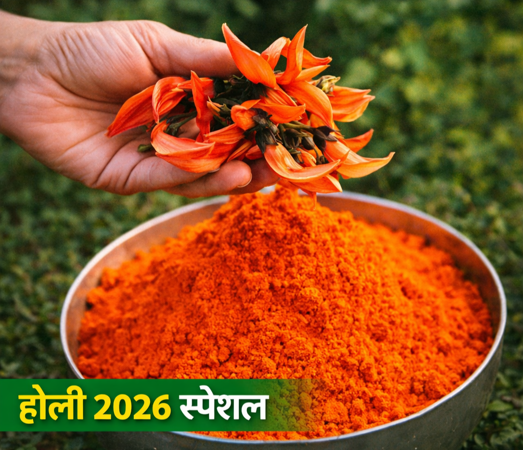 ChatGPT Image Mar 1 2026 11 19 56 AM Console Crptech