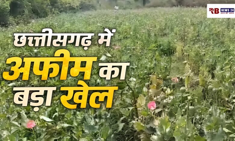 Polish 20260320 143740708 Console Crptech