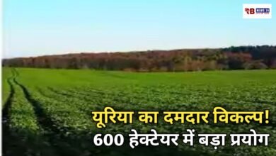 20260417 173129 Console Crptech