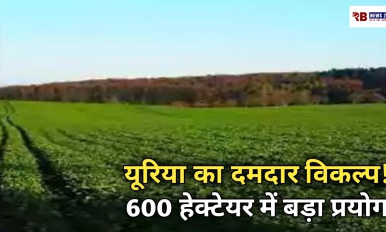 20260417 173129 Console Crptech