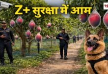 20260419 185024 Console Crptech